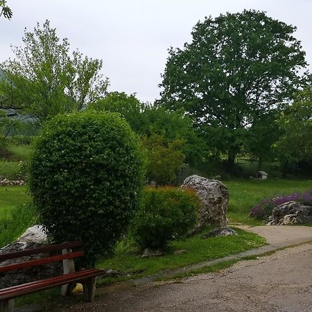 B&B Villa Ellena Međugorje エクステリア 写真